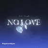  NO LOVE - Shubh Poster