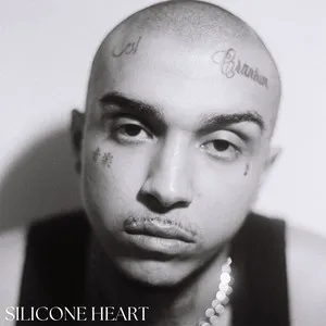  Silicone Heart Song Poster